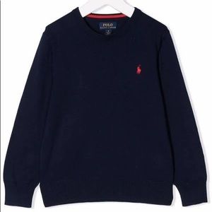 Polo by Ralph Lauren Embroidered Logo Crewneck Sweater